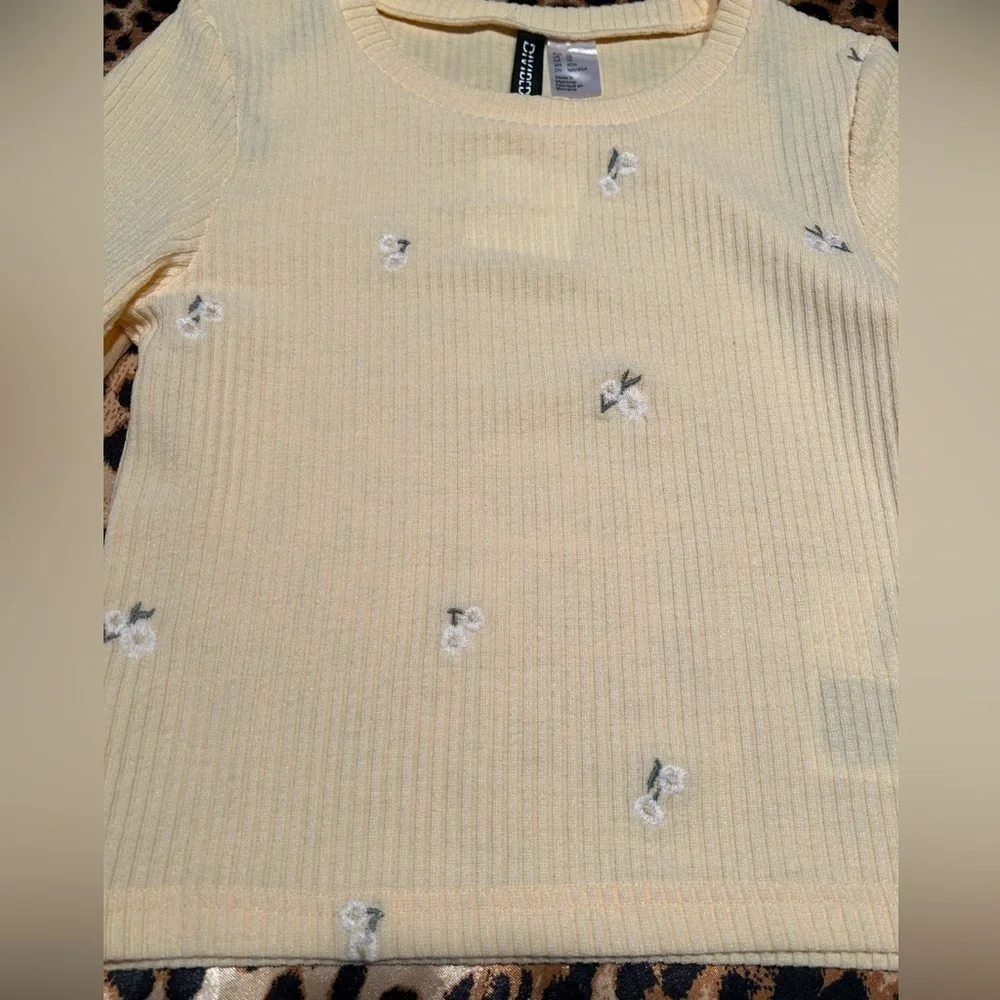 NWT H&M Daisy Embroidered Pastel Yellow Cropped Long Sleeve